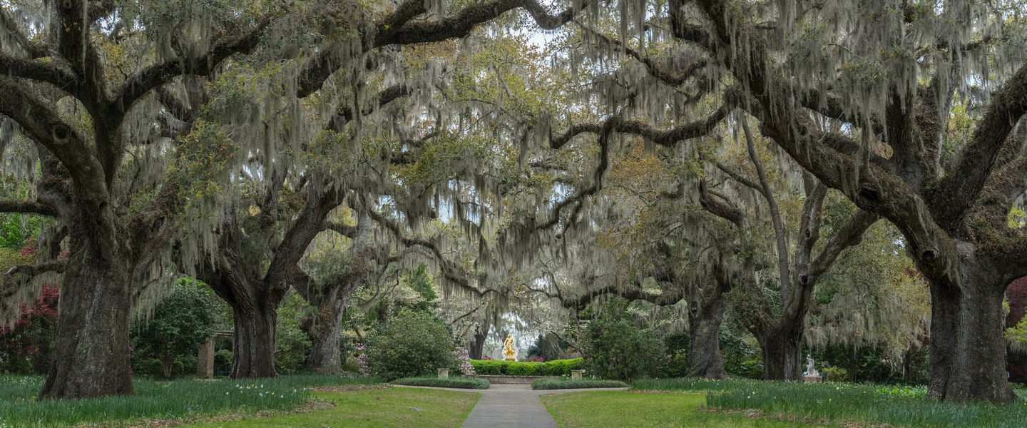 More than 25 years protecting Coastal Lowcountry families
